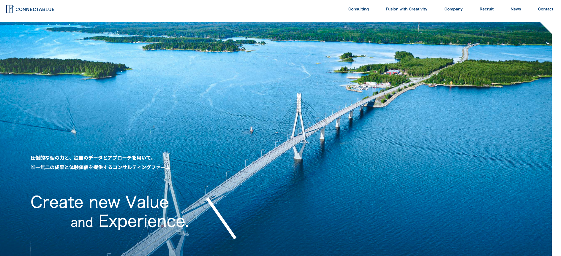 コネクタブルー